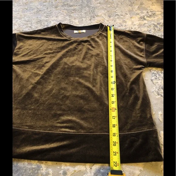 🖤 Madewell Velvet Velour Long Sleeve Balloon Sweatshirt - Picture 5 of 7